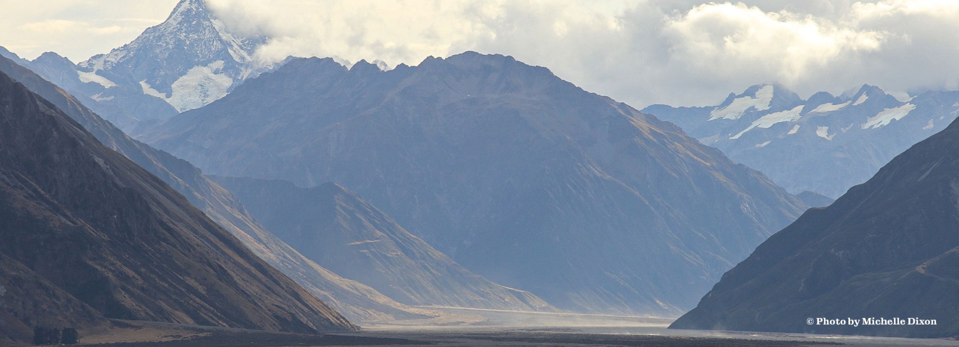 bee pollen supplements