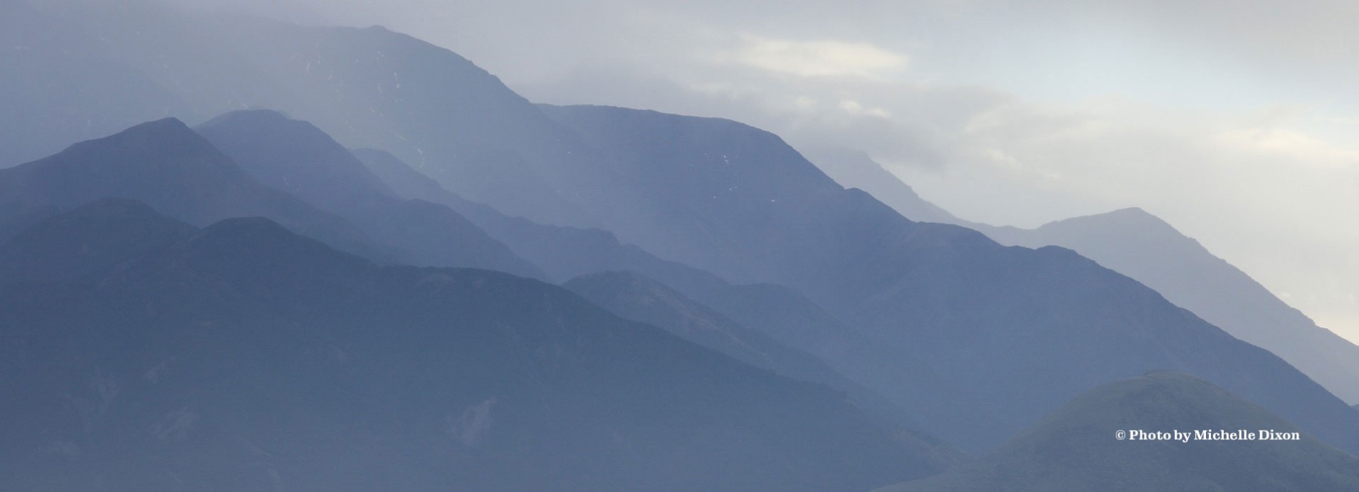 beef brain supplements