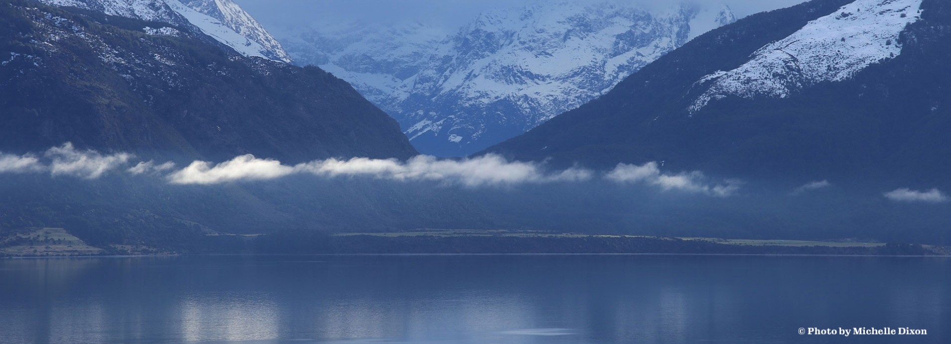 krill oil supplements