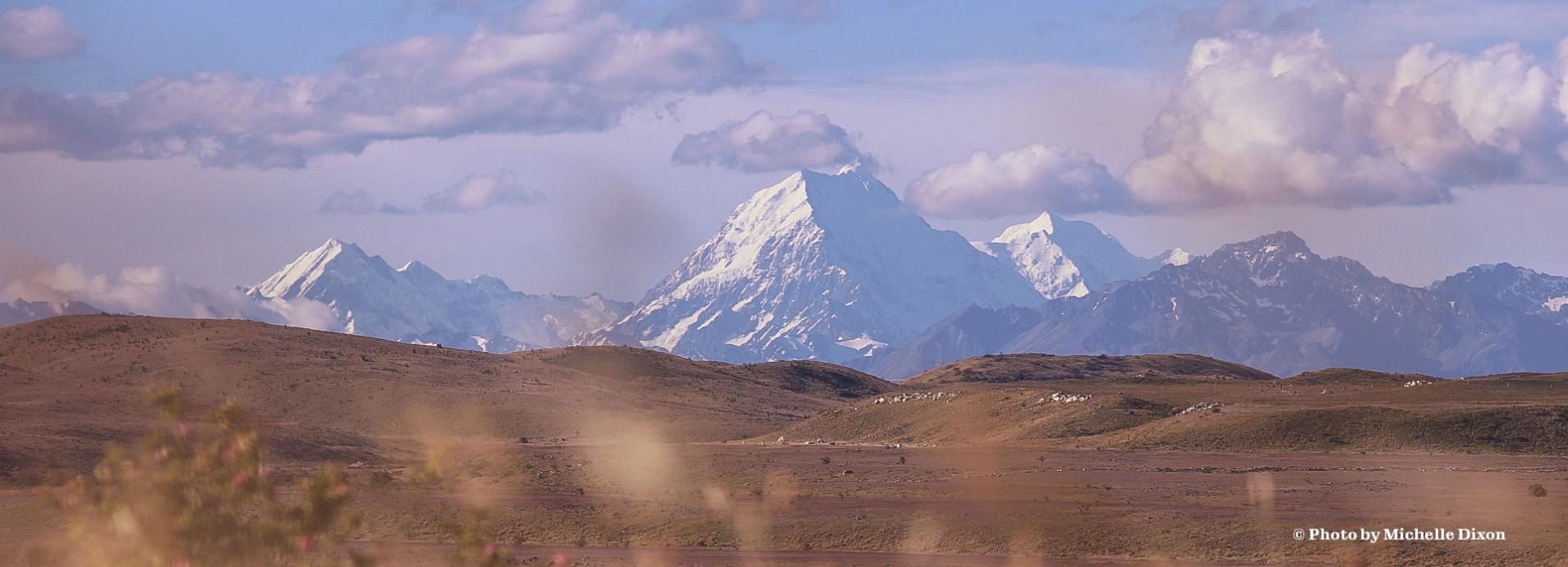 beef tallow supplements