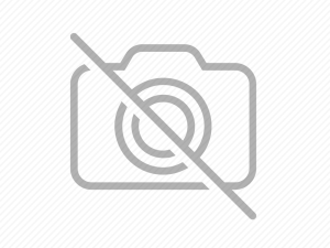 Getting the Most from your Supplements & Food Getting the Most from your Supplements & Food